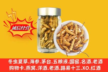 甘孜道孚县回收散虫草