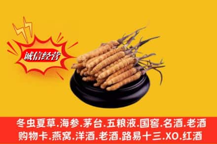 甘孜道孚县求购回收虫草多少钱每克